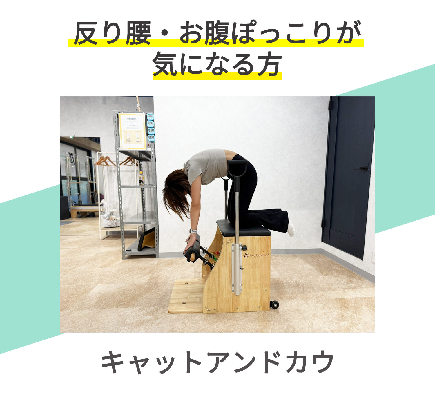 キャットアンドカウ